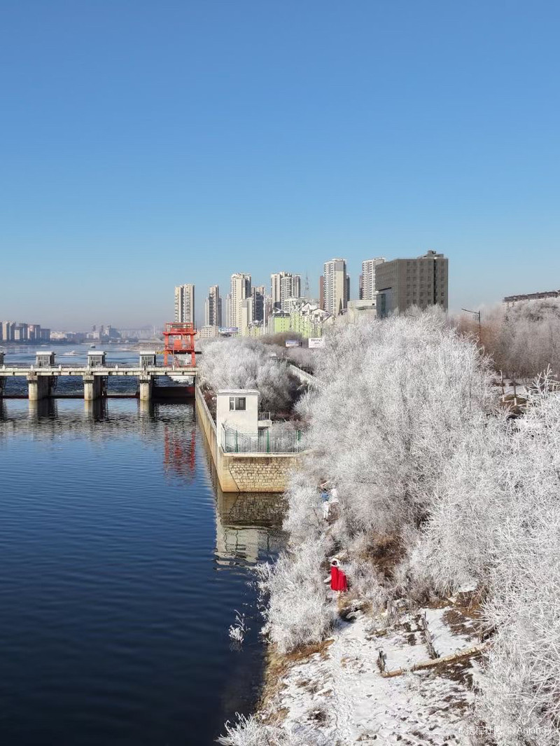 振兴东北，吉林，东北老工业基地的破茧重生之路