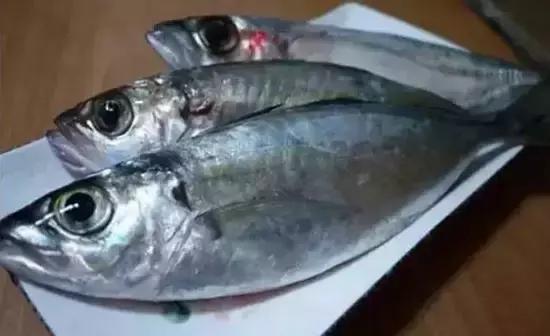 海南风情,阳光下的温馨日常画卷